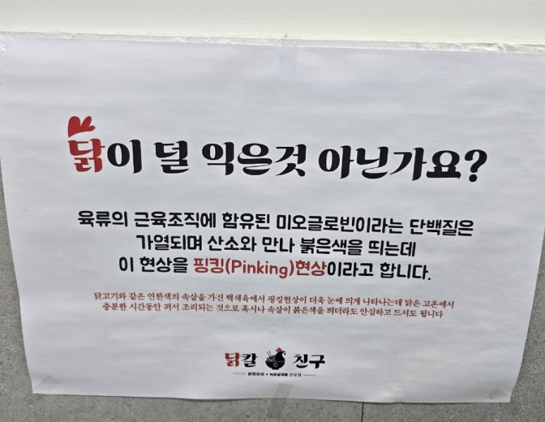 닭칼친구 이미지