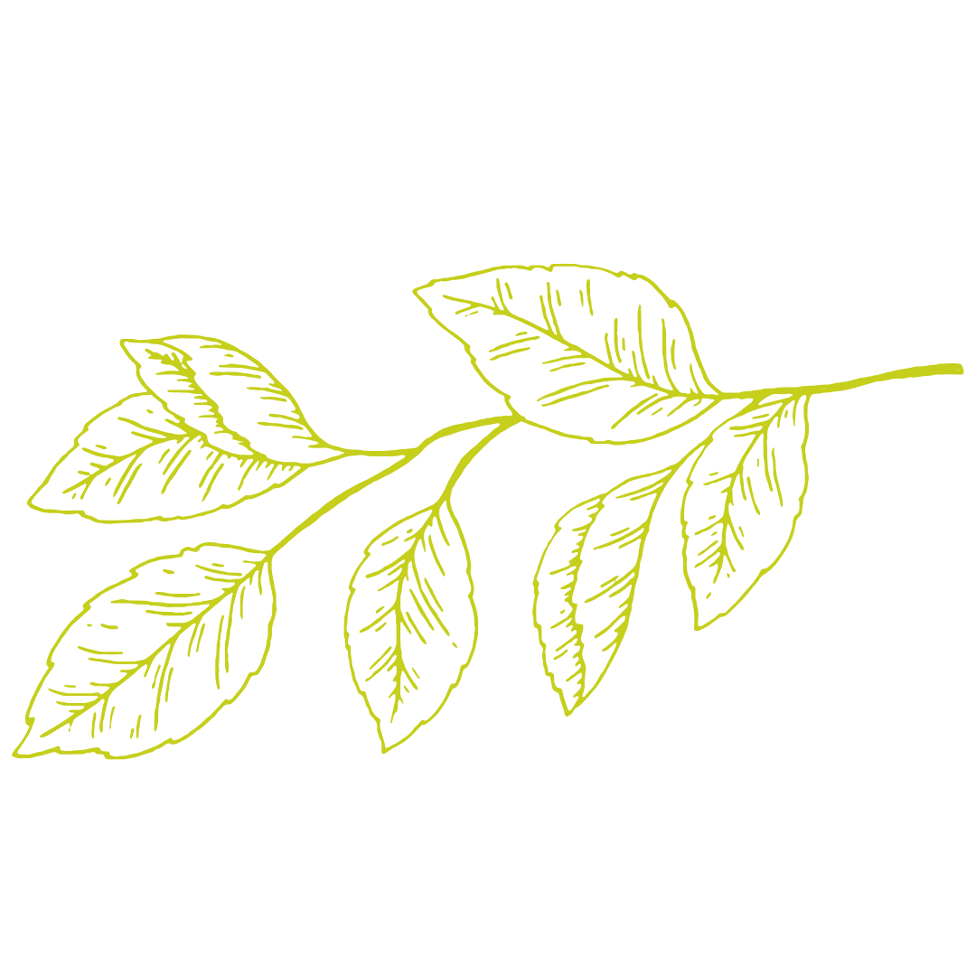 지유명차일광점 이미지