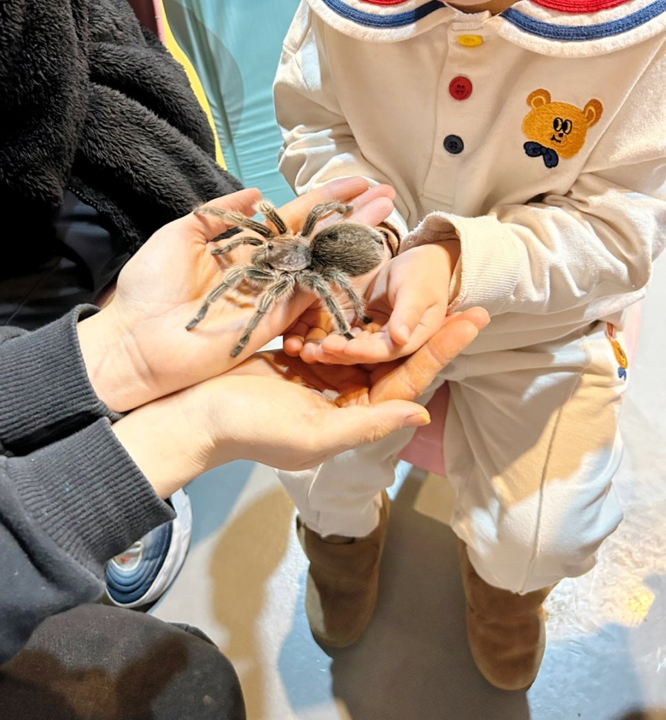 쥬니버스 이미지