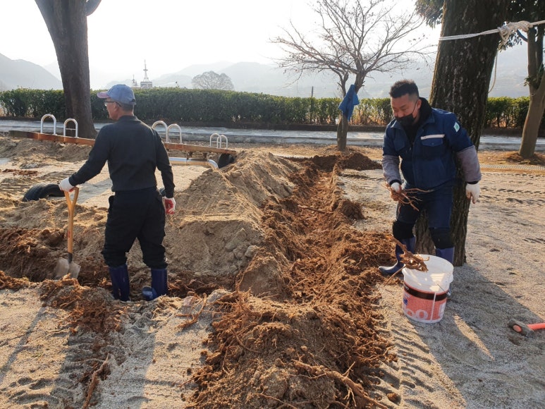 월등 초등학교 이미지