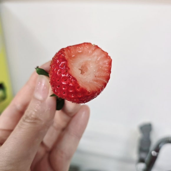 땡큐베리팜 이미지