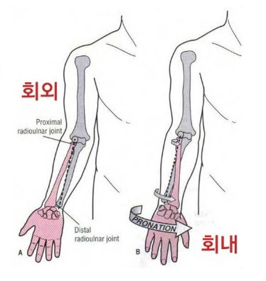 더바벨 이미지