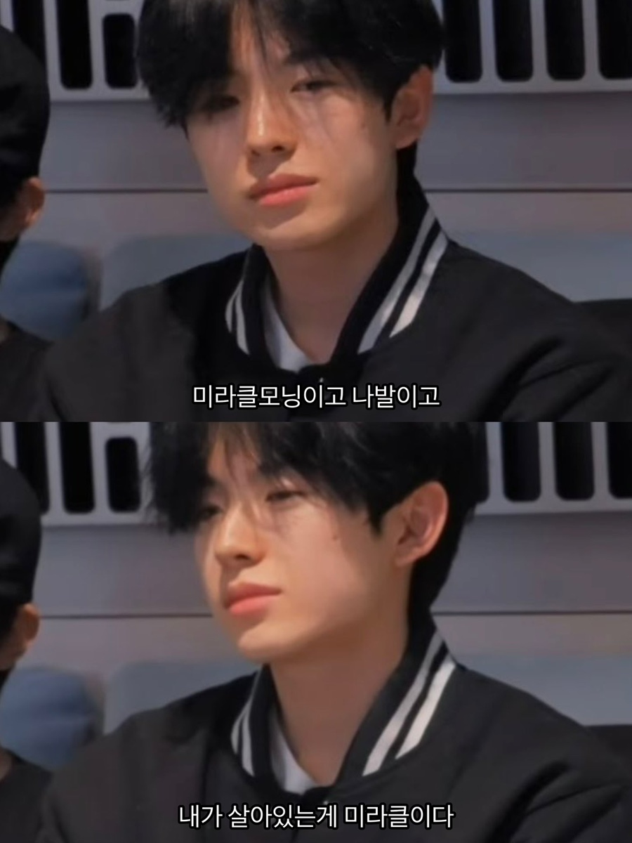 체안미 이미지