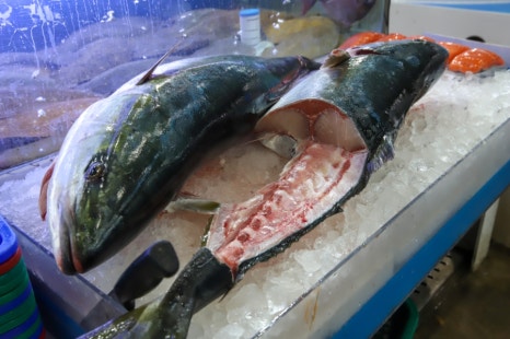 해적수산 이미지