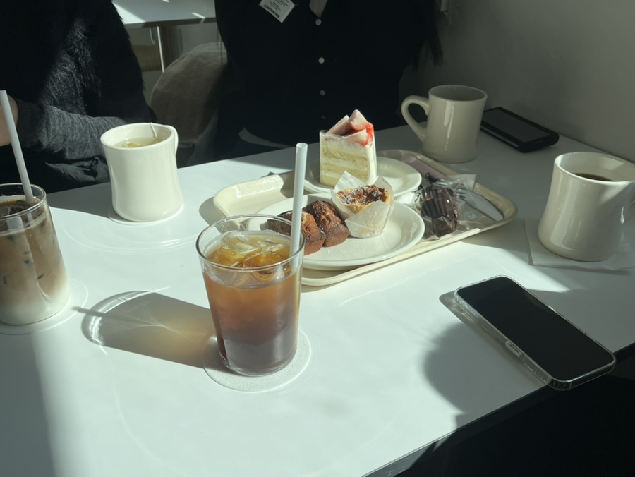 딤코히 이미지