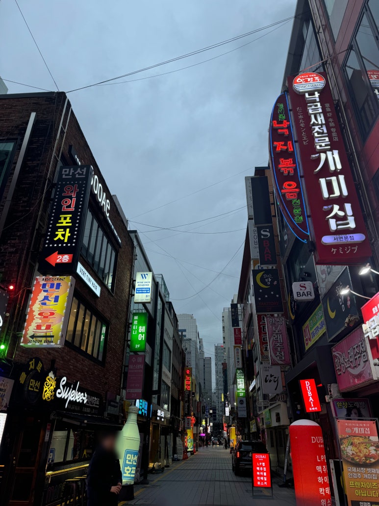 베르티니헤어 이미지