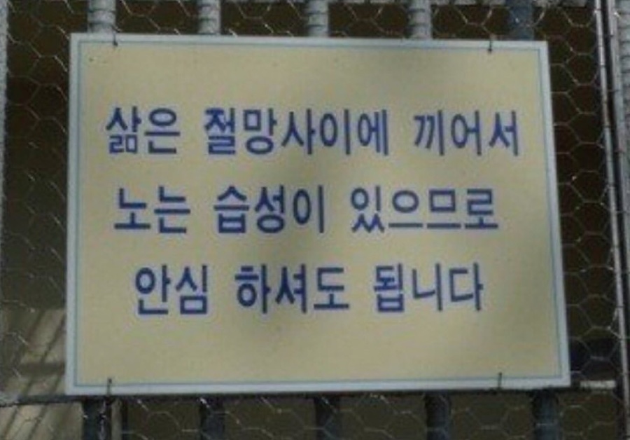 (주)스토리인 이미지