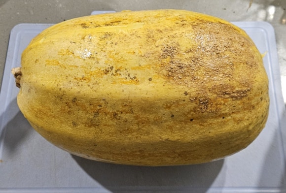 넝쿨에너지 이미지
