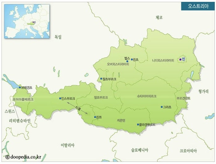 사치 이미지