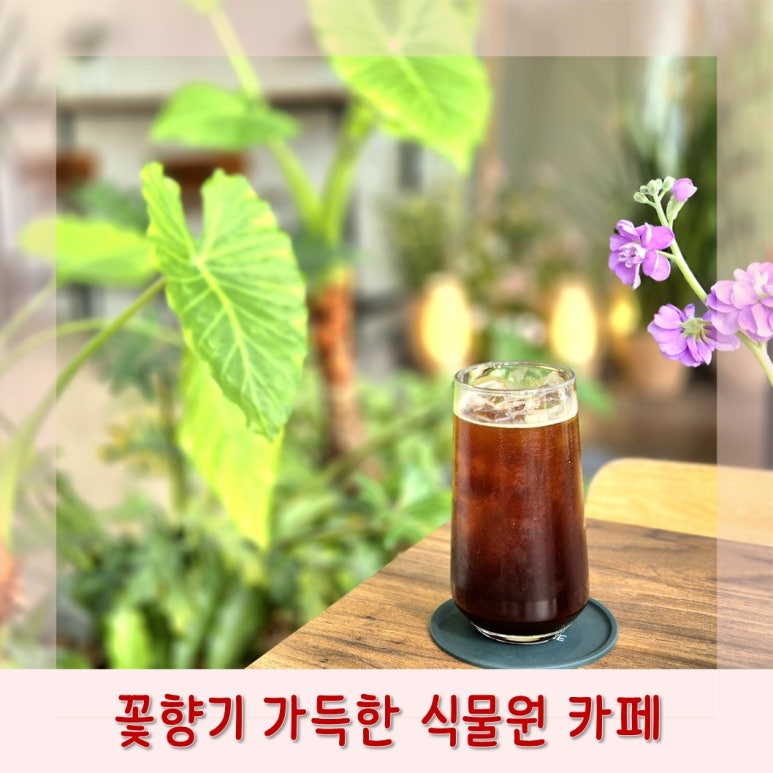 카페 플로라운지 이미지