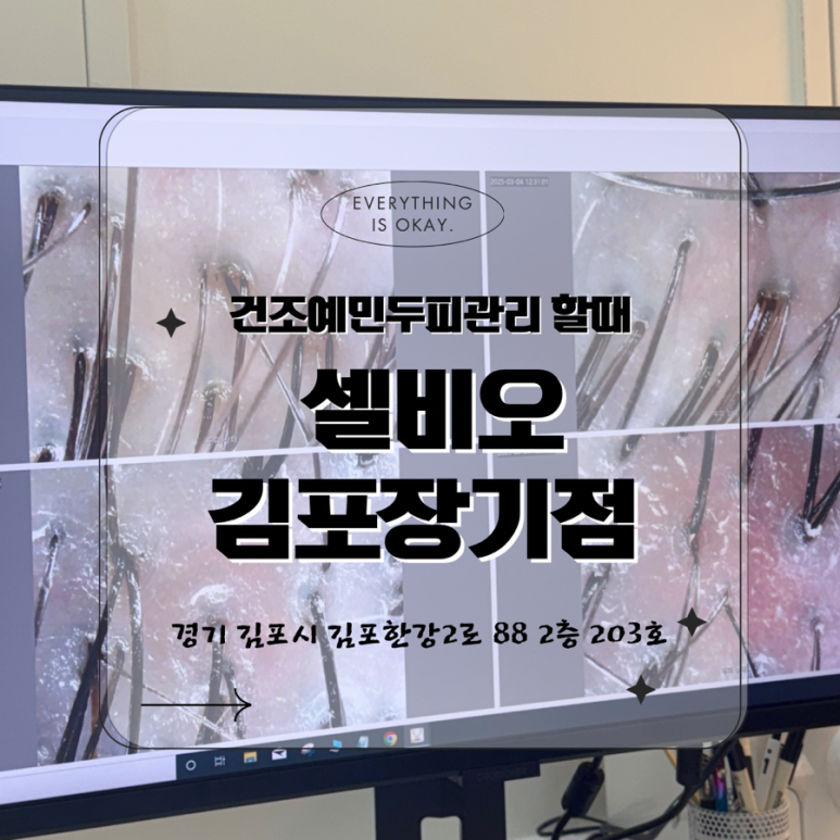 셀비오 김포장기점 이미지
