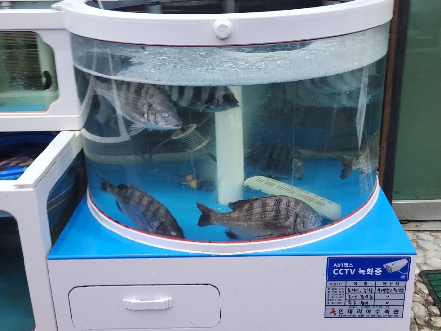 가야도횟집 이미지
