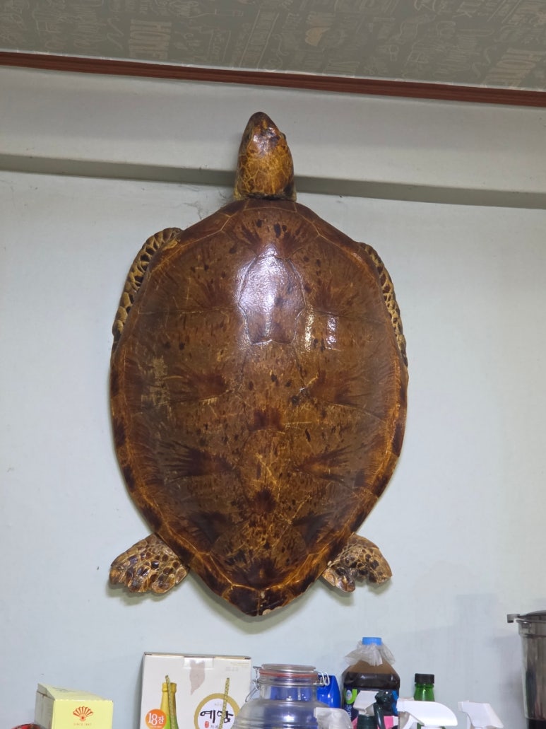 벌꿀식당 이미지