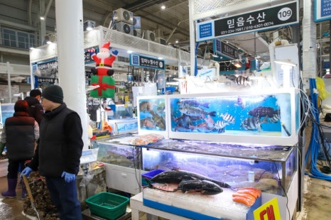 해적수산 이미지
