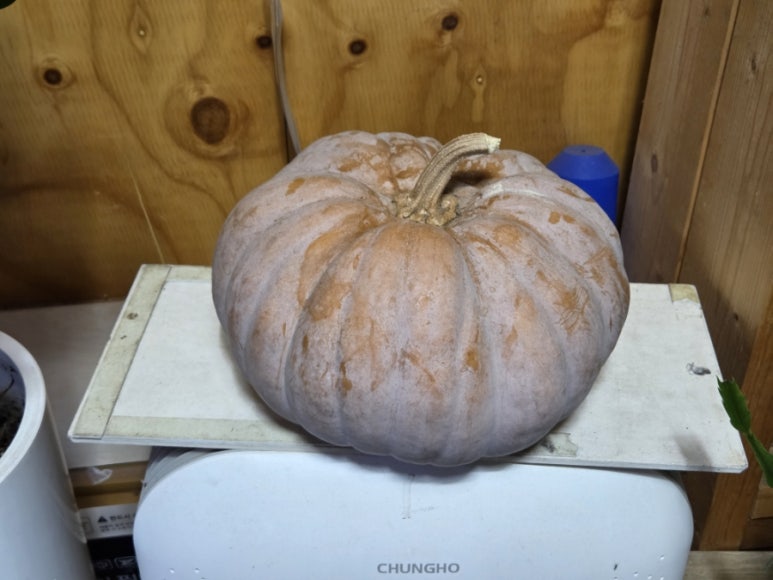 벌꿀식당 이미지