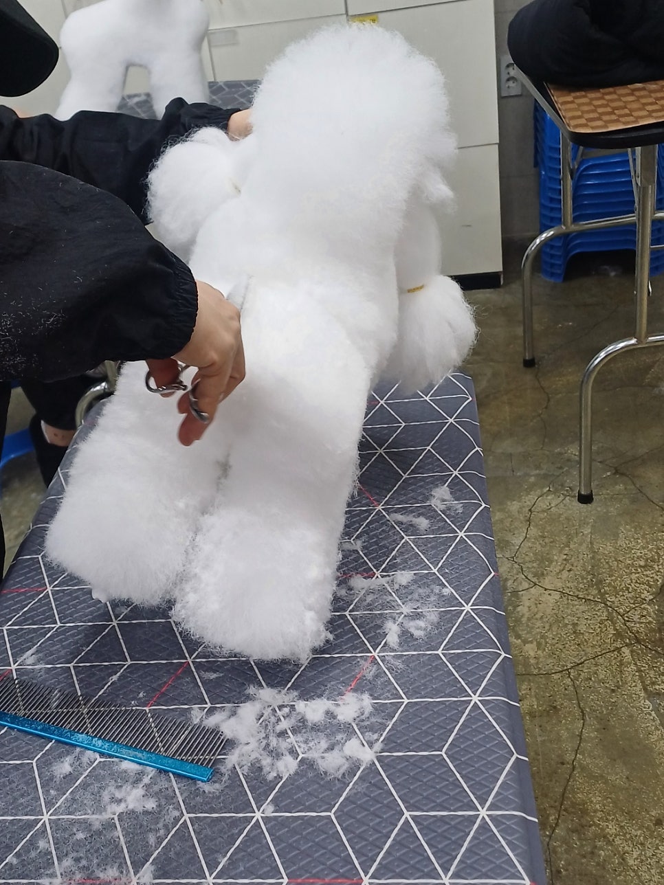 이정민애견미용학원 이미지