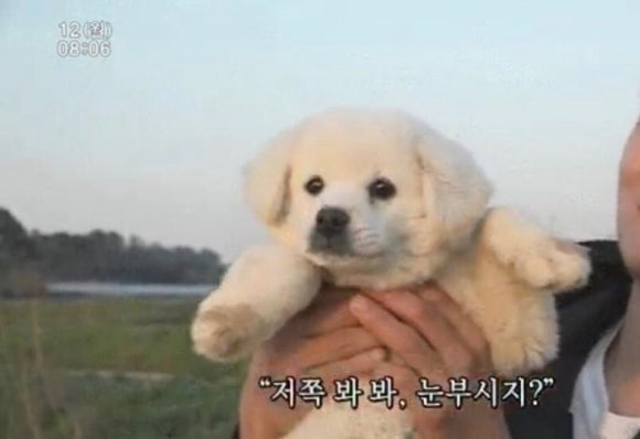 없음 이미지