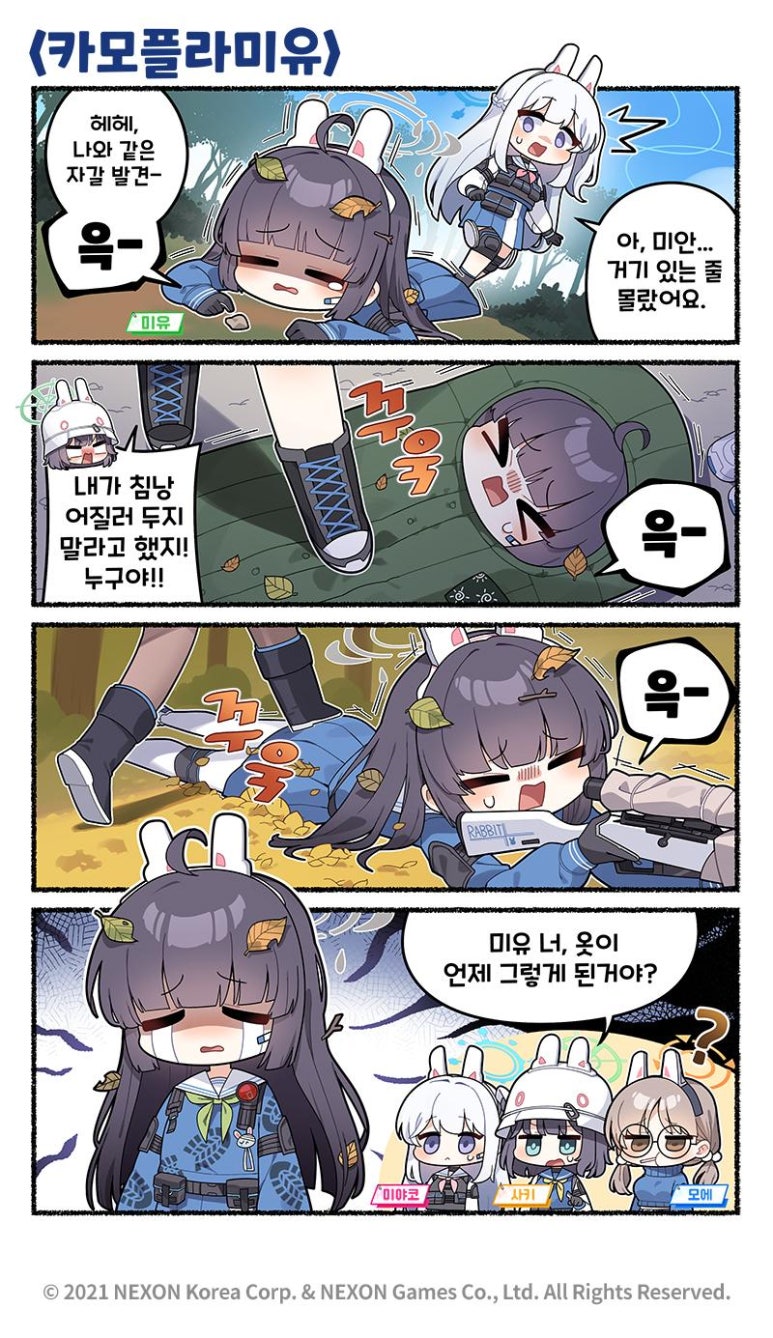 카모플라 이미지