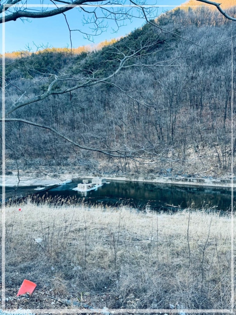 백년오리 이미지