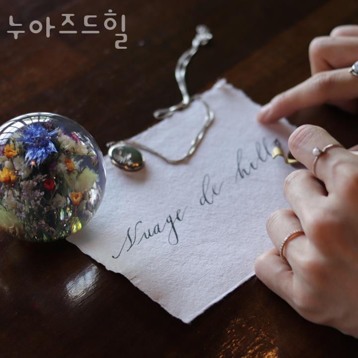 누아즈드힐 이미지