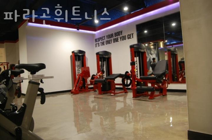 파라곤휘트니스 이미지