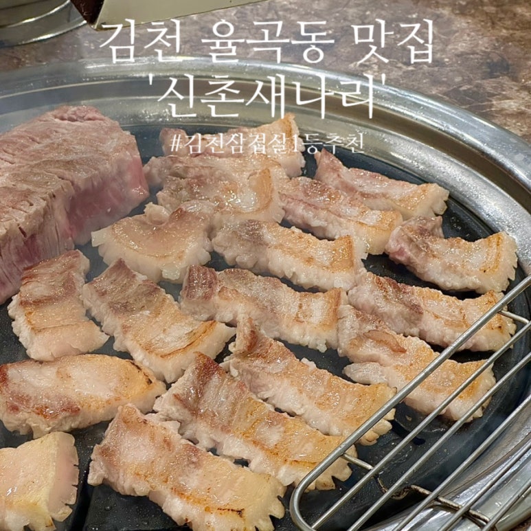 신촌새나리 이미지