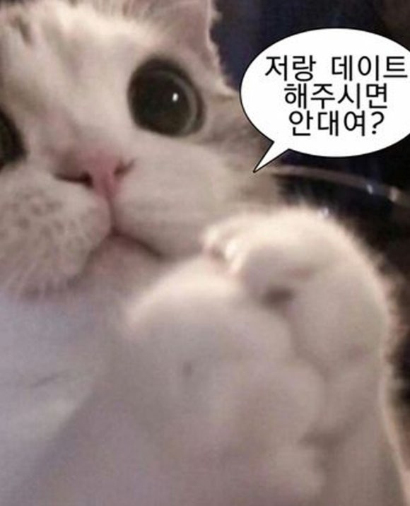 시장국밥 이미지