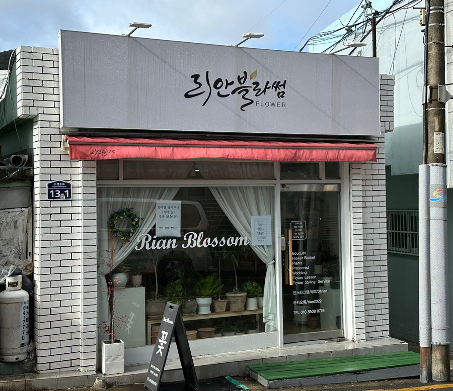 리안블라썸 이미지