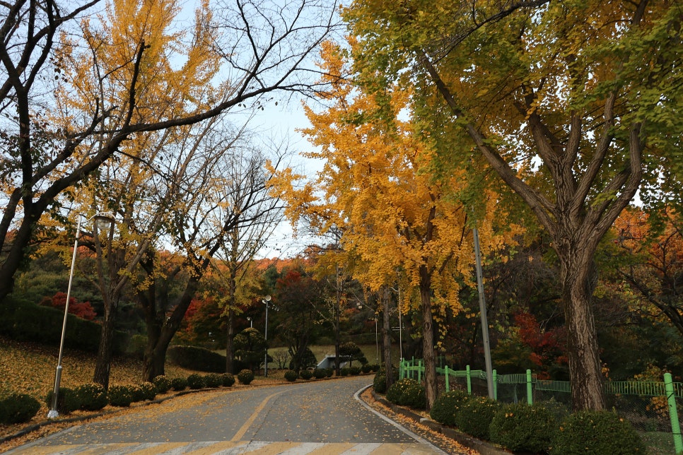 흥국생명연수원 이미지