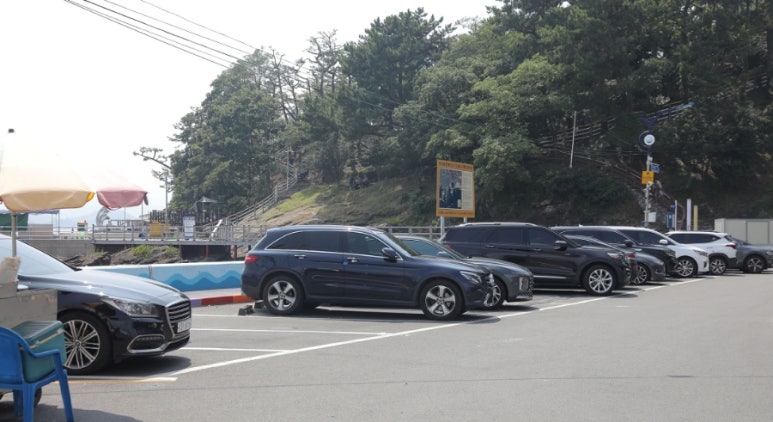 동강횟집 이미지
