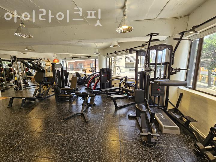 라이크핏 이미지
