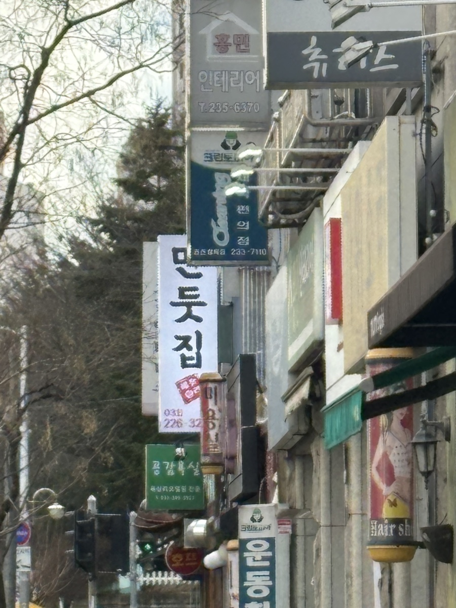 만둣집세뚜리 이미지