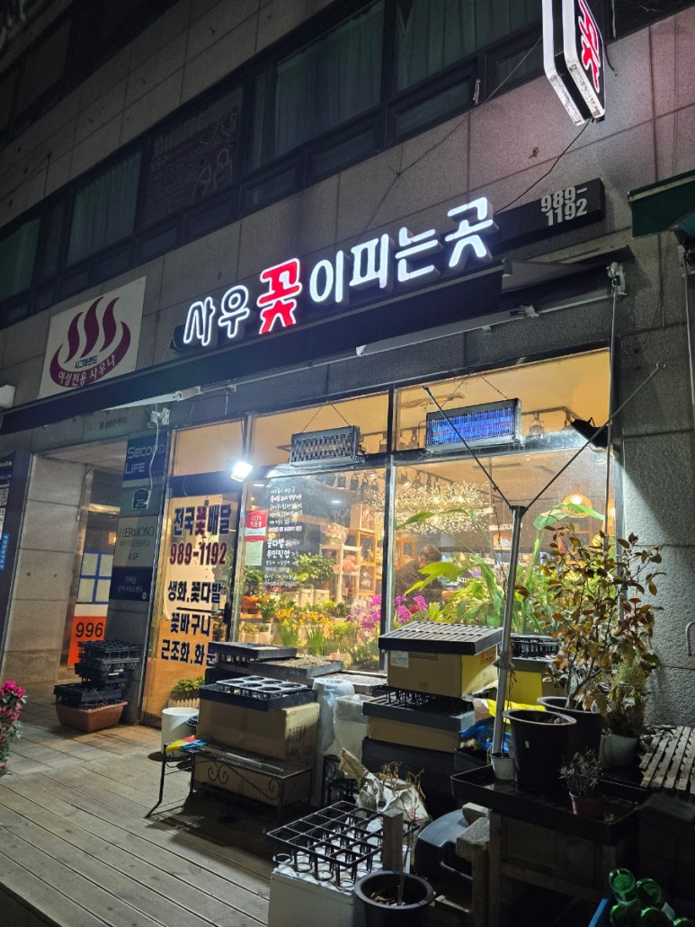 사우꽃이피는곳 이미지