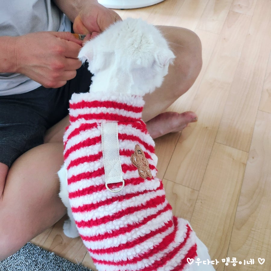 고양이 진공 바리깡 셀프 미용 후기: 럽마이펫 시즌1 — 사진 17