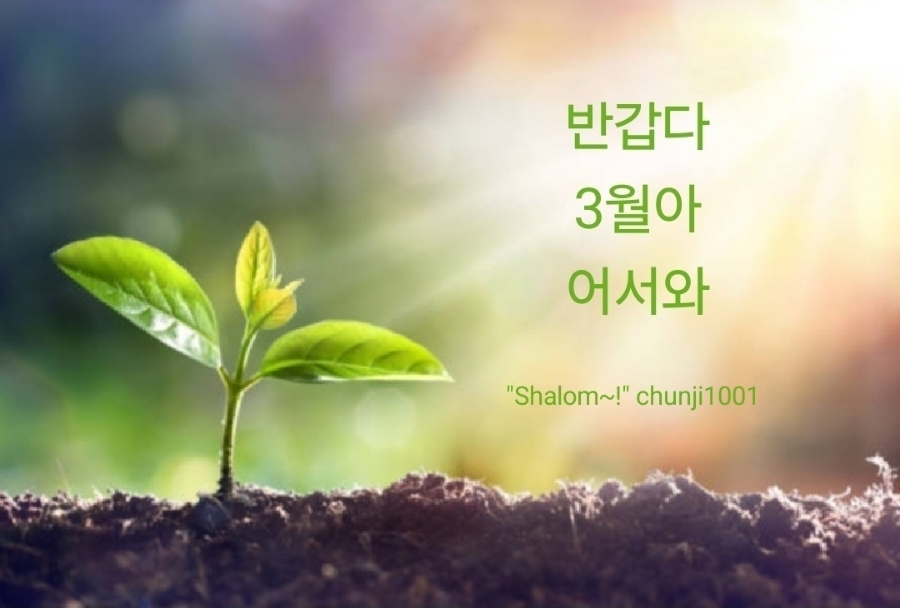 작은사치 이미지