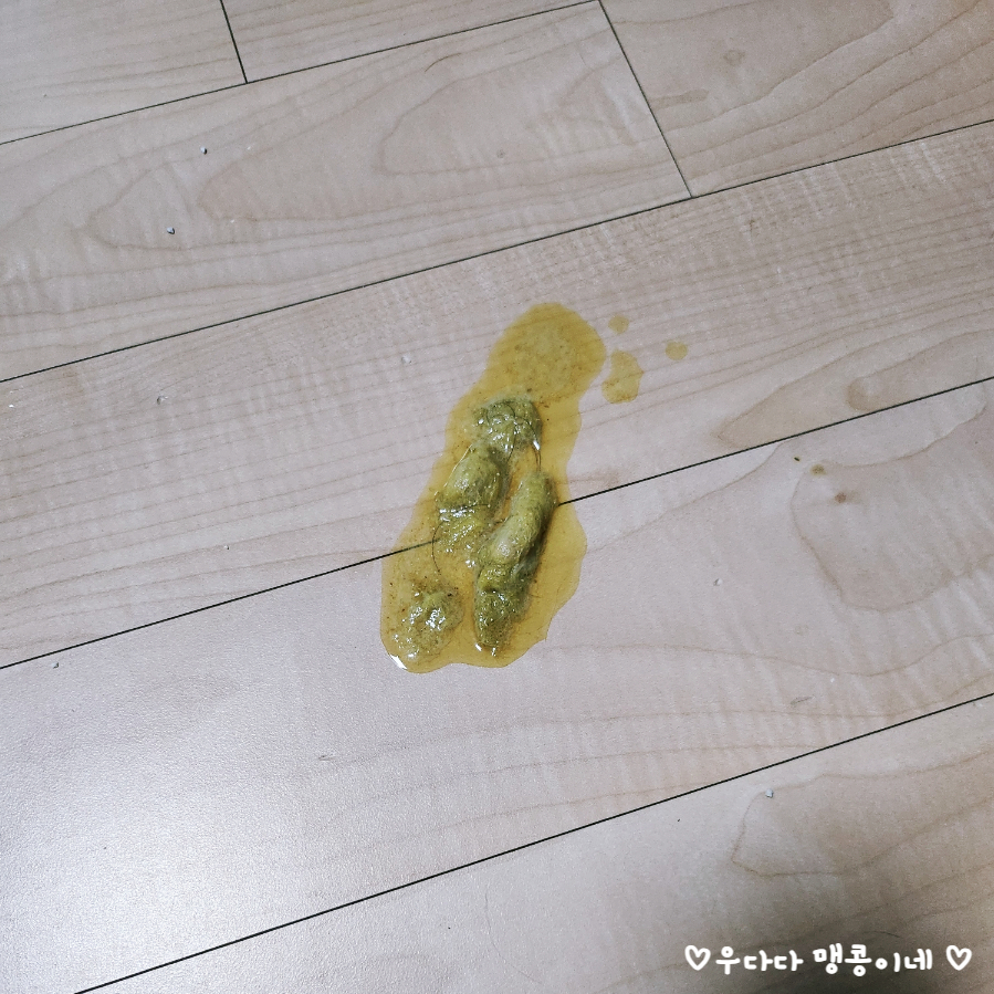 고양이 진공 바리깡 셀프 미용 후기: 럽마이펫 시즌1 — 사진 3
