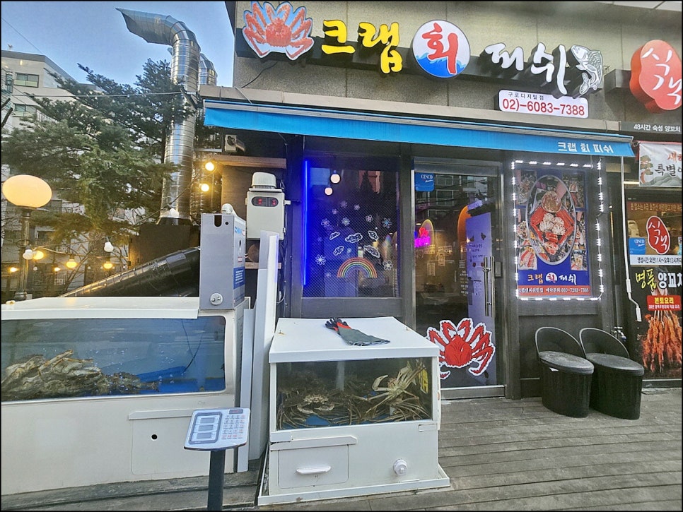 킹피쉬 이미지