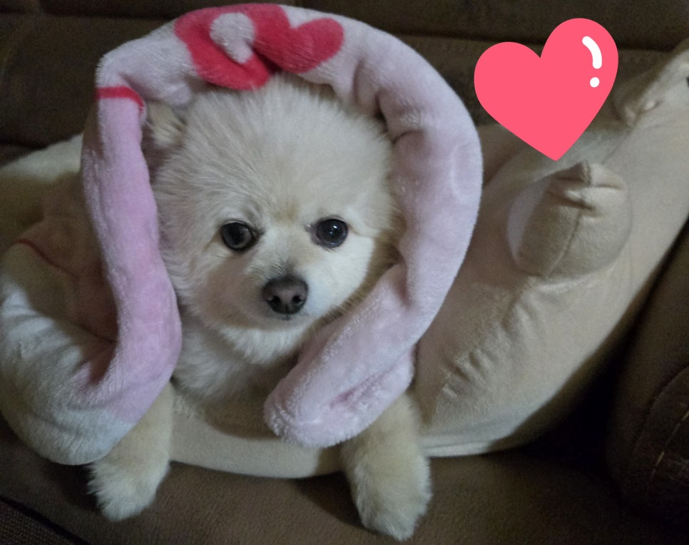 하얀컨설팅 이미지