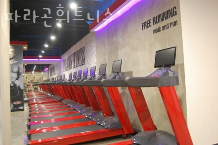 파라곤휘트니스 이미지
