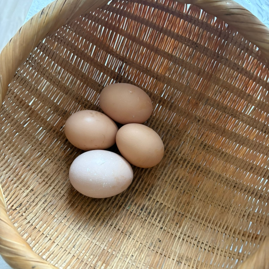 자연촌팬션 이미지