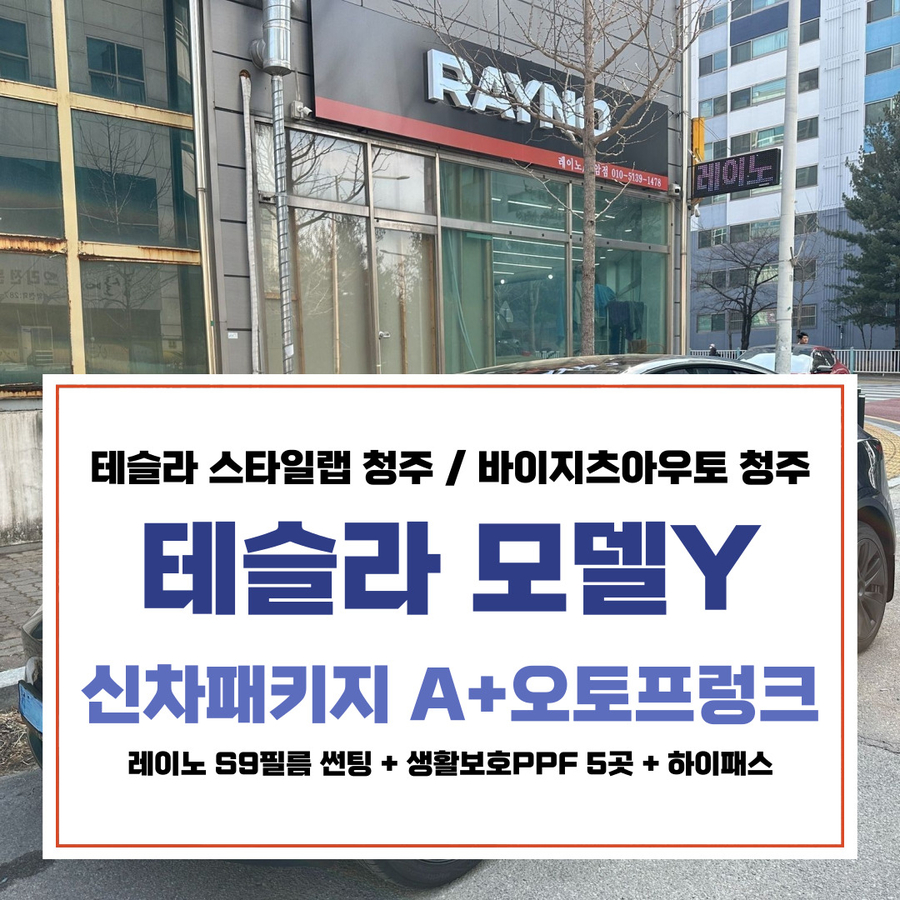 오토스타일레이노 이미지