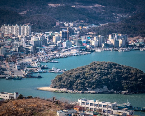 완도전복대장 이미지