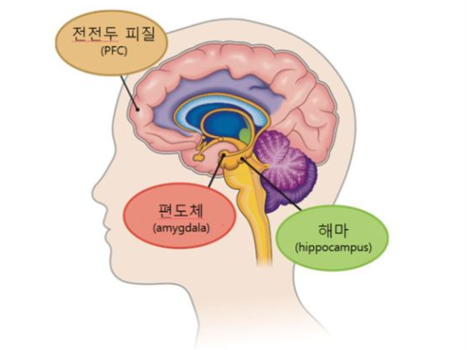 두뇌과학학원 이미지