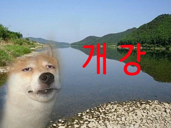 오예 이미지