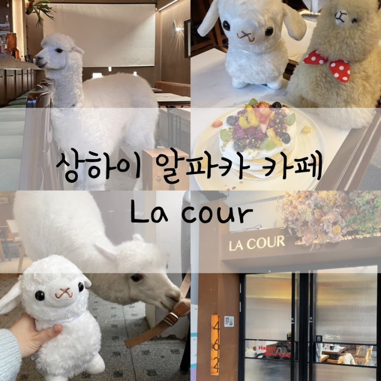 25시cafe 이미지