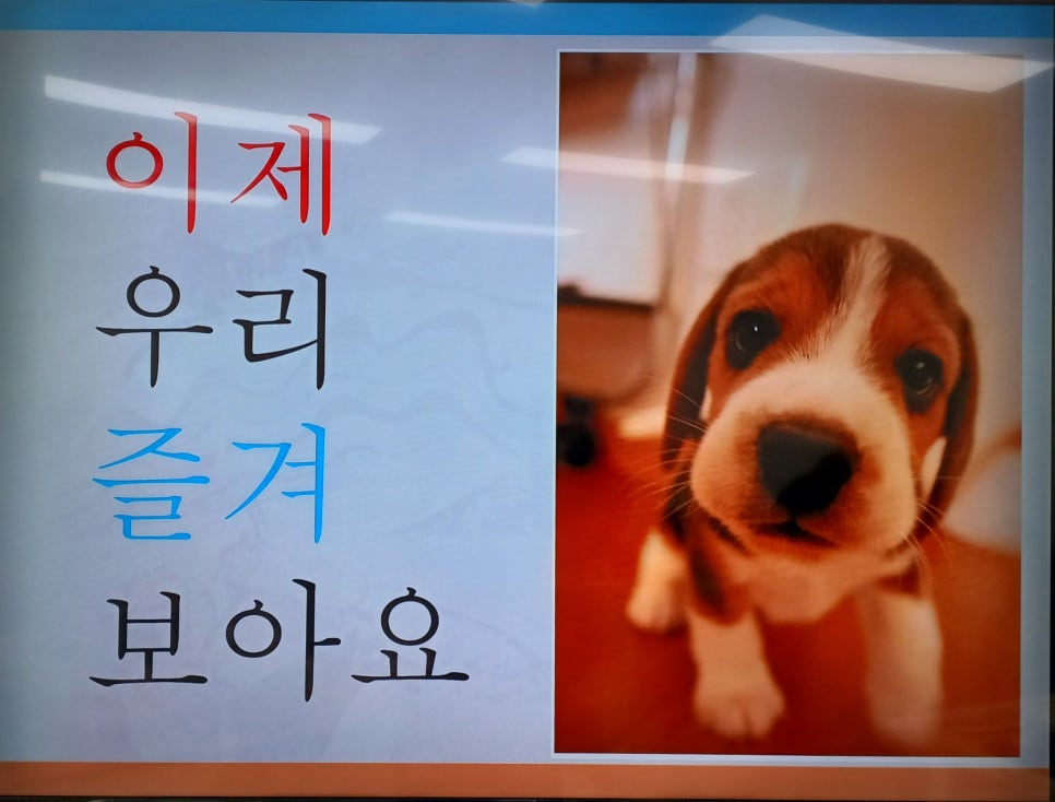 드림창의인지센터 이미지