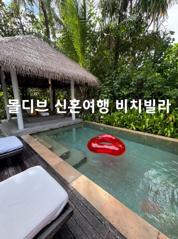 말리비치 이미지