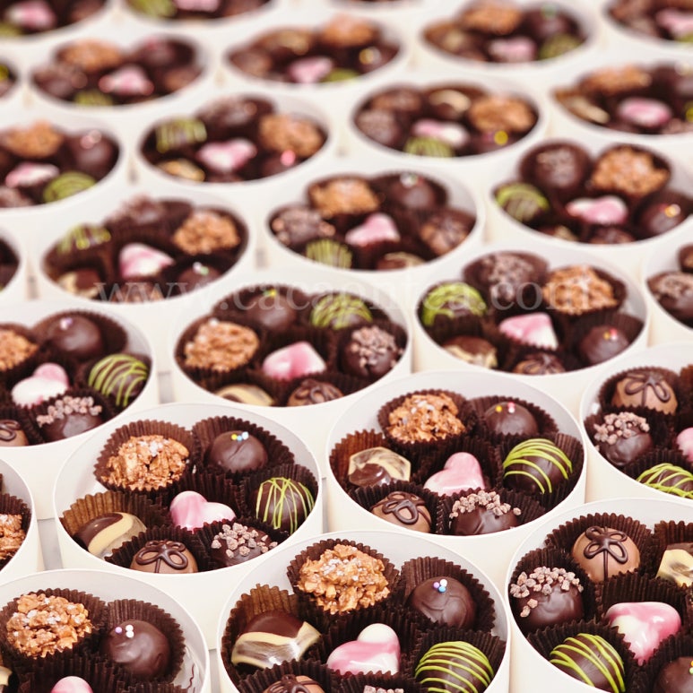 카카오앤티(CACAO n TEA) 이미지