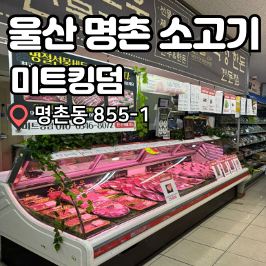 한빛미트 이미지