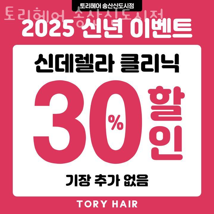 토리헤어송산 이미지
